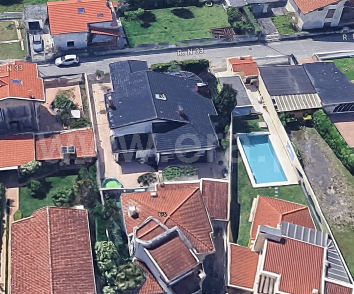 Moradia T4 / Vila do Conde, Árvore