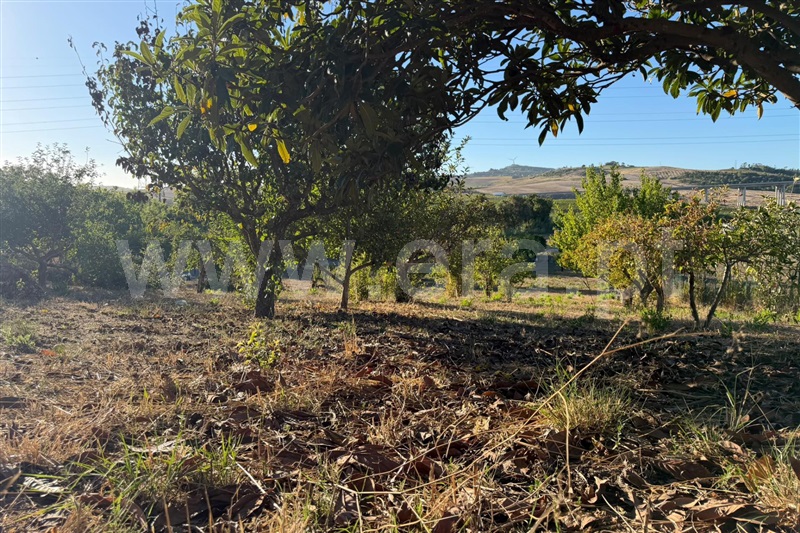 Moradia T4 à venda em Castanheira do Ribatejo e Cachoeiras, Vila Franca de Xira — foto 11