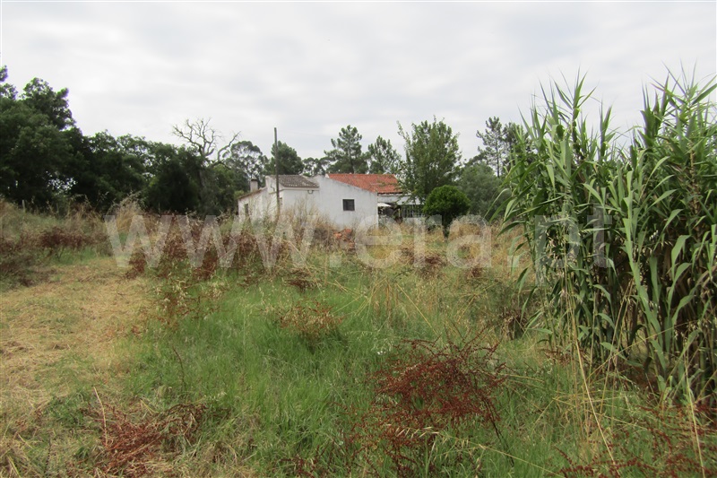 Moradia T4 Vila Nova da Barquinha, Madeiras - 1416391 - 3