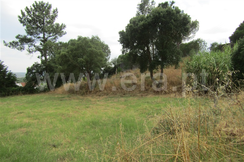 Moradia T4 Vila Nova da Barquinha, Madeiras - 1416391 - 4