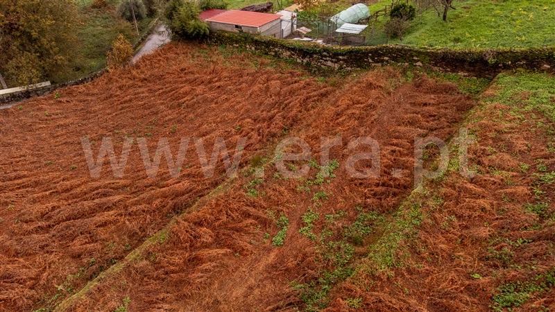Moradia T4 Vila Nova de Cerveira, Gondarém - 1368949 - 17