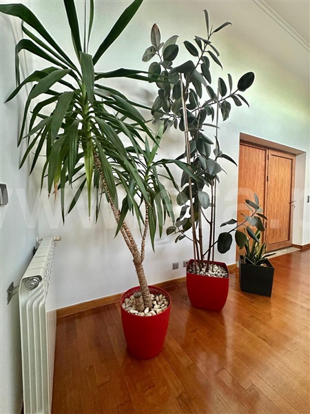 Moradia T4 com Jardim Vila Real, Andrães - 1396713 - 43