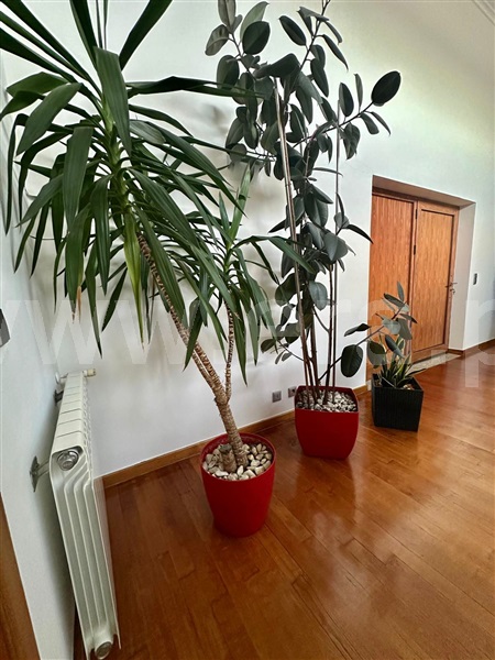 Moradia T4 com Jardim Vila Real, Andrães - 1396713 - 51