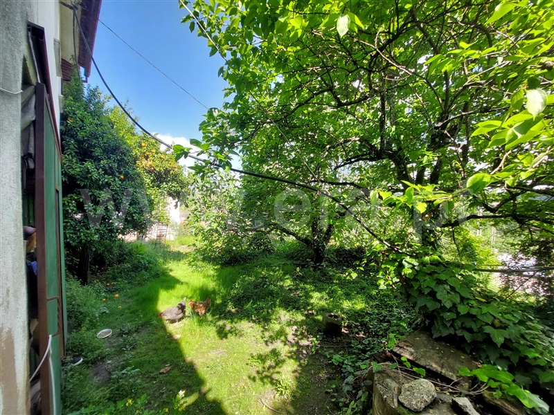 Moradia T4 Viseu, Orgens - 1479443 - 18