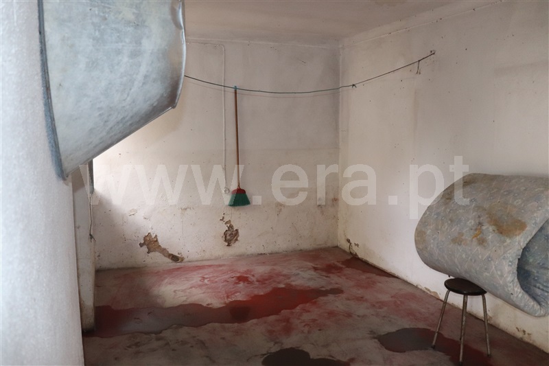 Moradia T5 à venda em São Miguel Rio Torto, Abrantes — foto 5