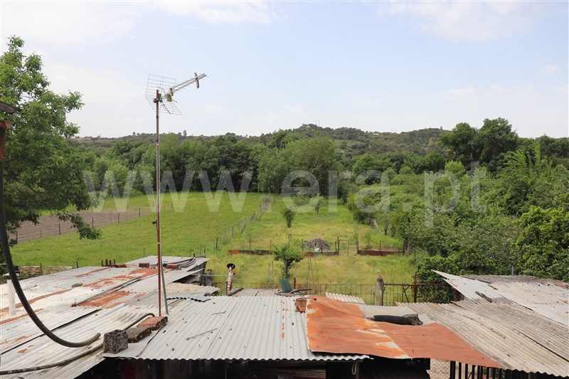 Moradia T5 à venda em São Miguel Rio Torto, Abrantes — foto 9