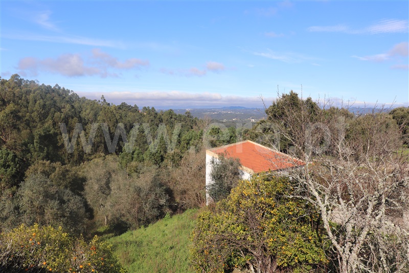 Prédio T5 Abrantes, Souto - 1458623 - 6