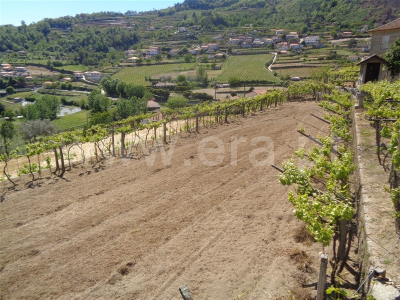 Moradia T5 Baião, Santa Marinha do Zêzere - 705184 - 3
