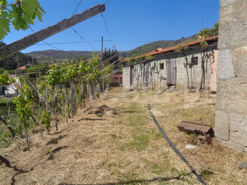 Moradia T5 Baião, Santa Marinha do Zêzere - 705184 - 9