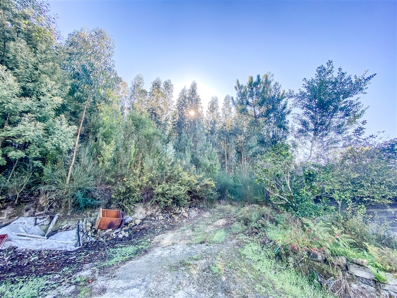 Moradia T5 Barcelos, Alvelos - 1326086 - 6