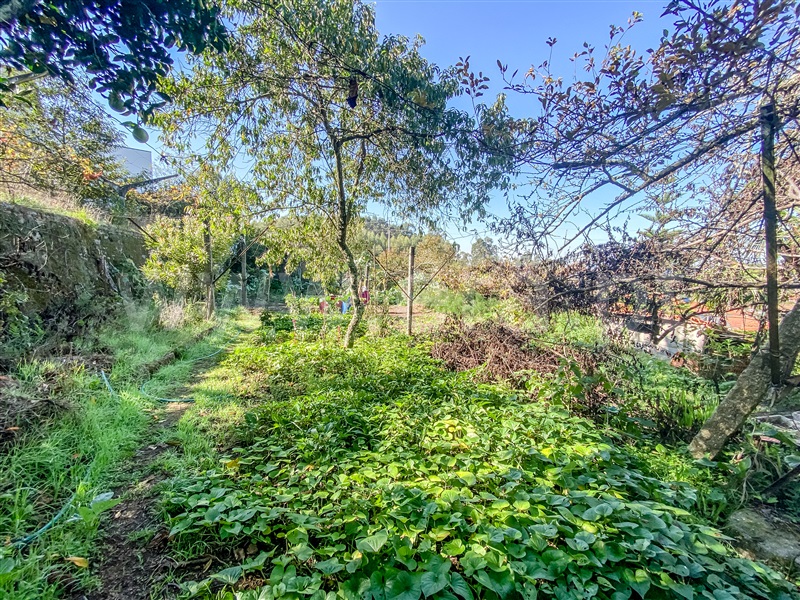 Moradia T5 Barcelos, Alvelos - 1326086 - 8