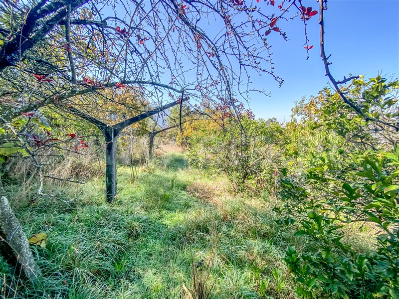Moradia T5 Barcelos, Alvelos - 1326086 - 9
