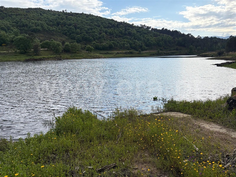 Moradia T5 à venda em Vidago (Vidago, Arcossó, Selhariz e Vilarinho das Paranheiras), Chaves — foto 2