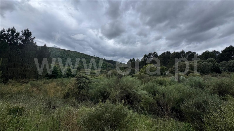 Moradia T5 à venda em Vidago (Vidago, Arcossó, Selhariz e Vilarinho das Paranheiras), Chaves — foto 4