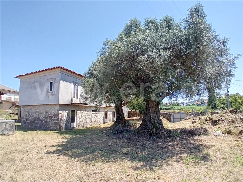 Moradia T5 Esposende, Forjães - 1424833 - 14