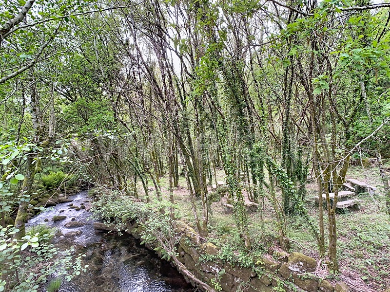 Moradia T5 à venda em Monte e Queimadela, Fafe — foto 2