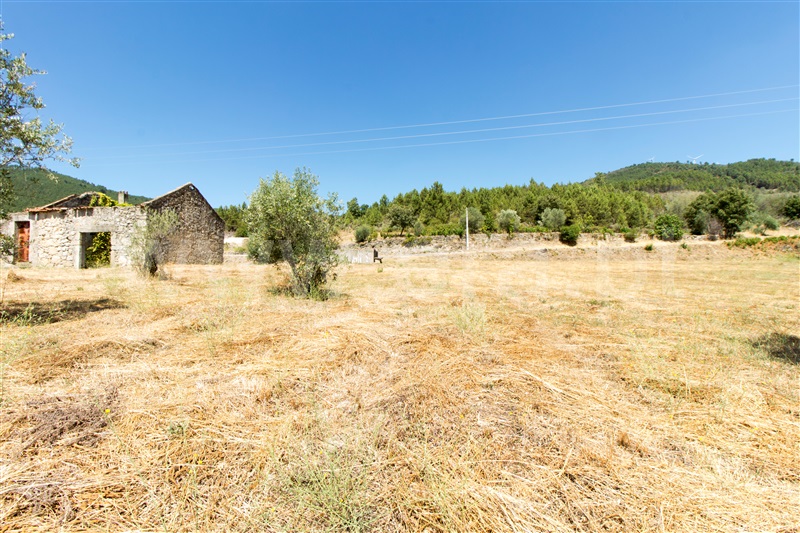 Moradia T5 / Guarda, Gonçalo