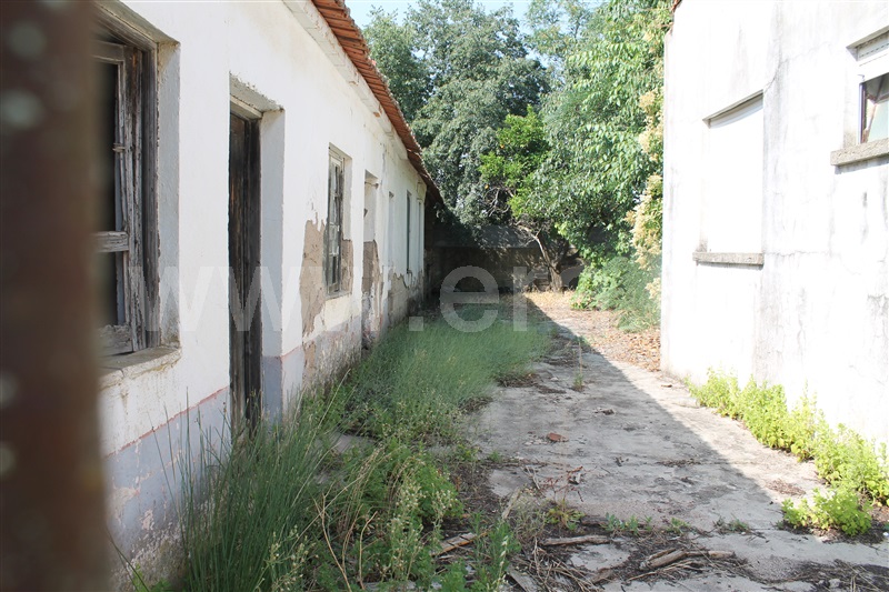 Moradia Isolada T5 Idanha-a-Nova, Monfortinho - 1485650 - 24