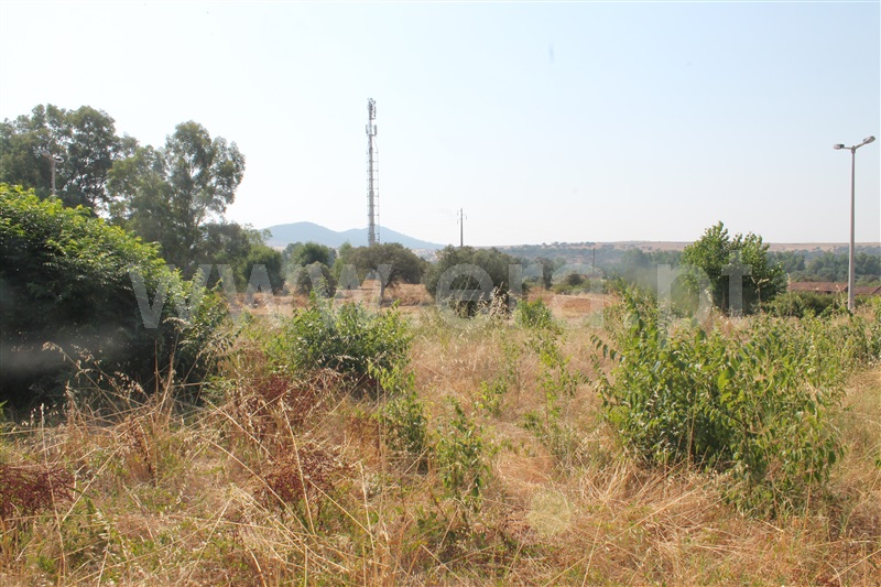 Moradia T5 à venda em Termas de Monfortinho, Idanha-a-Nova — foto 16