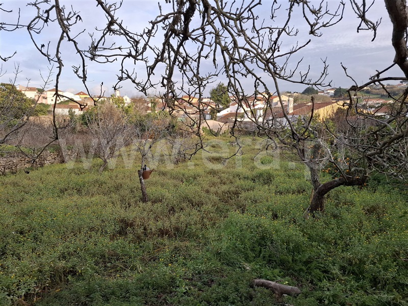 Moradia T5 Lourinhã, Reguengo Grande - 1453645 - 13