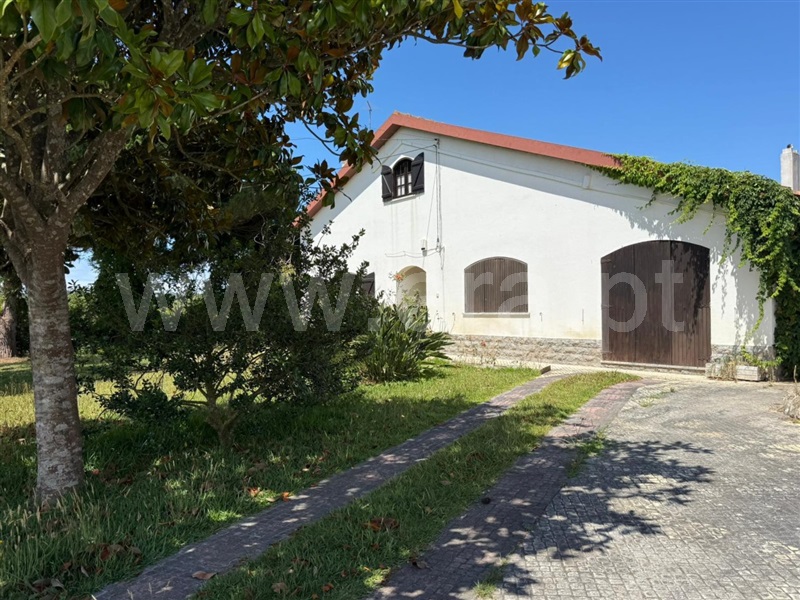 Moradia T5 com Terreno Lourinhã, Toledo - 1467349 - 24