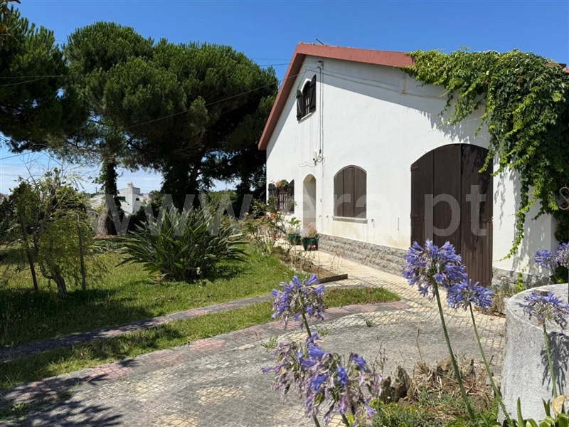 Moradia T5 com Terreno Lourinhã, Toledo - 1467349 - 26