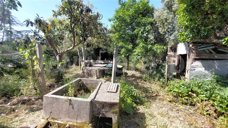 Moradia T5 à venda em Santo Varão, Montemor-o-Velho — foto 18