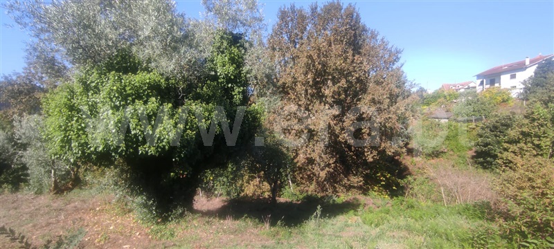 Moradia T5 Mortágua, Espinho - 1511346 - 3