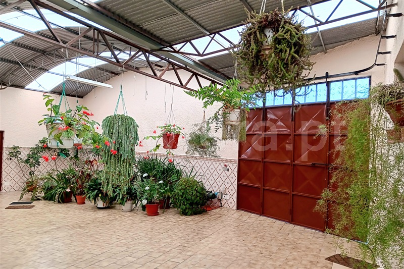 Moradia T5 Oliveira do Bairro, Palhaça - 1350356 - 4