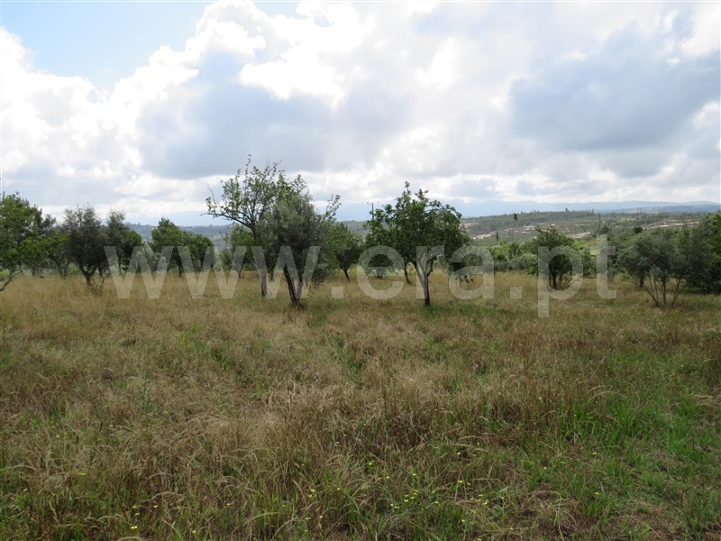 Moradia T5 Oliveira do Hospital, Póvoa de São Cosme - 1315774 - 17