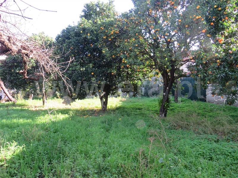 Moradia T5 Oliveira do Hospital, Vila Franca da Beira - 1368573 - 10