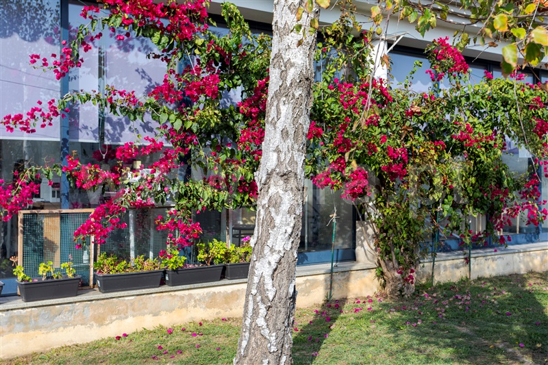 Moradia T5 Ovar, Esmoriz II - EN 109 - 1513436 - 28