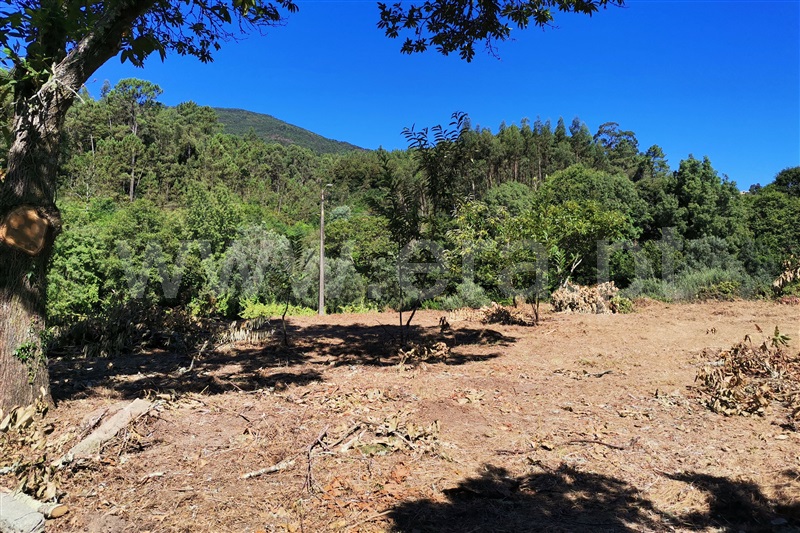 Moradia  Ponte de Lima, Labruja - 1263754 - 3
