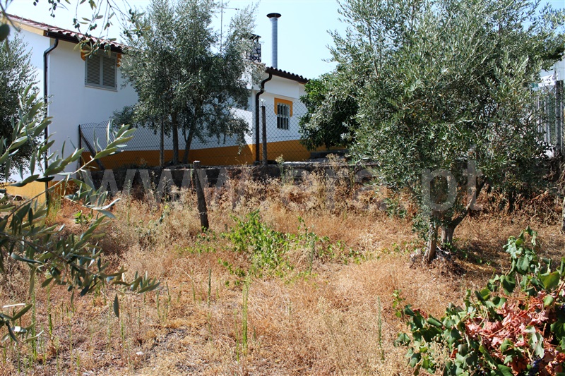 Moradia T5 Proença-a-Nova, Sobreira Formosa - 1493094 - 20