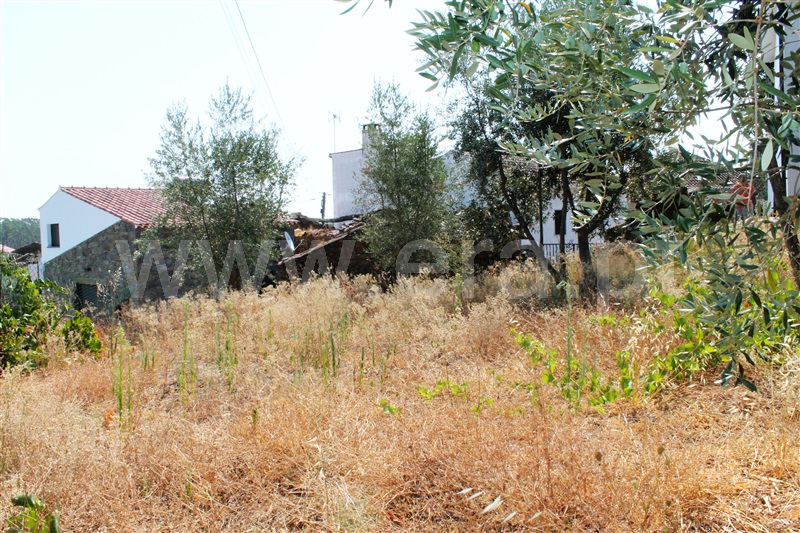 Moradia T5 Proença-a-Nova, Sobreira Formosa - 1493094 - 21
