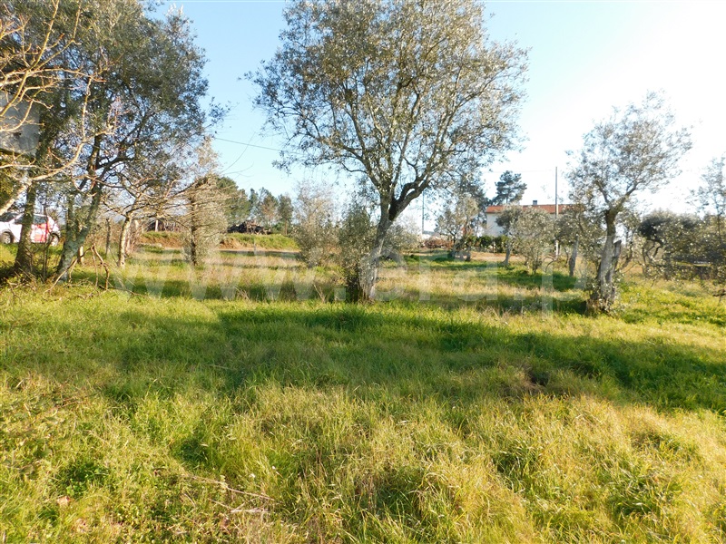 Moradia T5 Seia, Sameice e Santa Eulália - 1286567 - 13