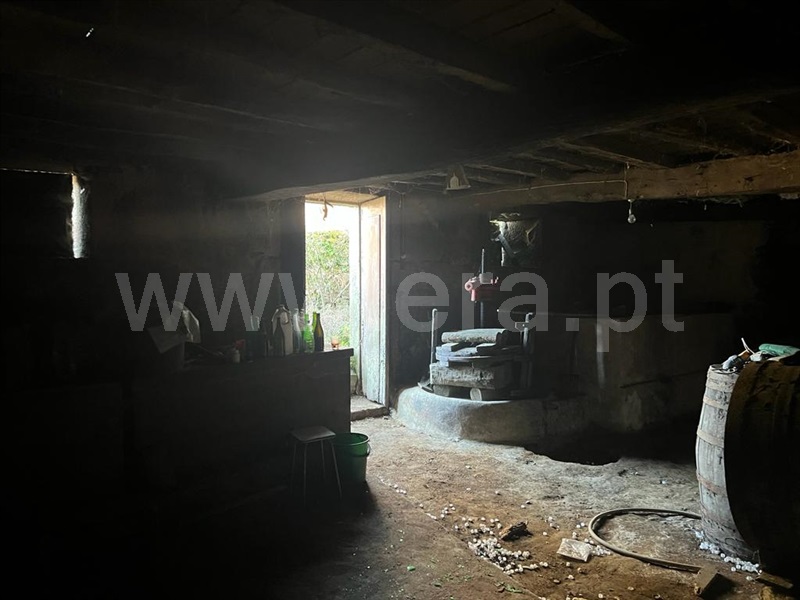 Moradia T5 Tarouca, Granja Nova e Vila Chã da Beira - 1320857 - 17