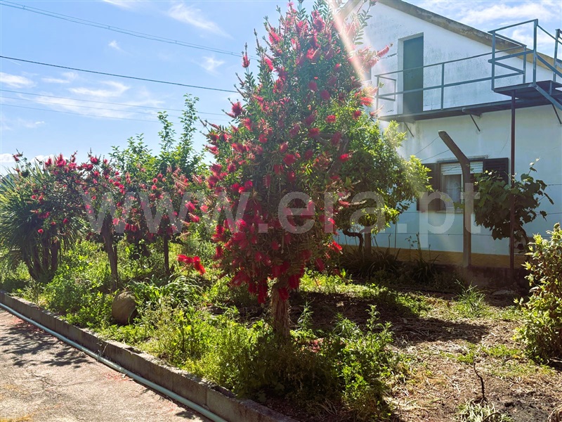 Moradia T5 Tomar, Asseiceira - 1480762 - 5