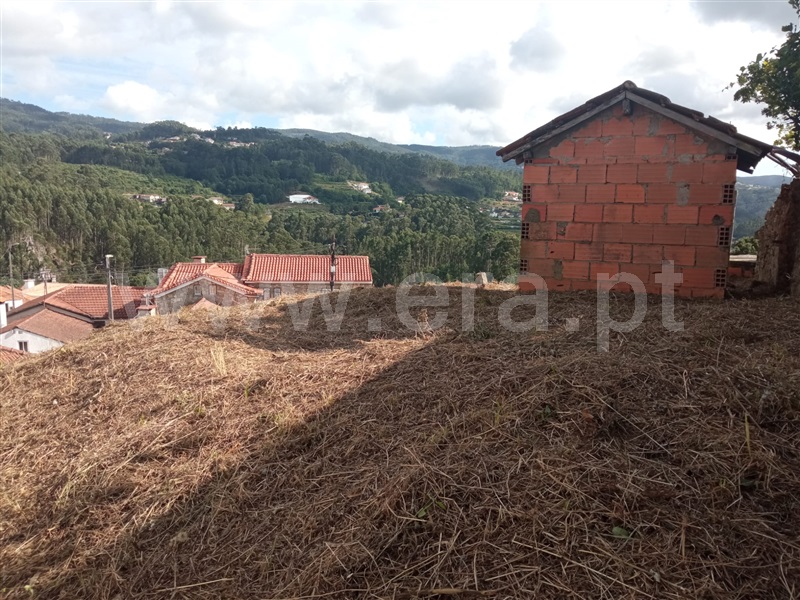 Moradia T5 Vale de Cambra, Roge - 1354902 - 9