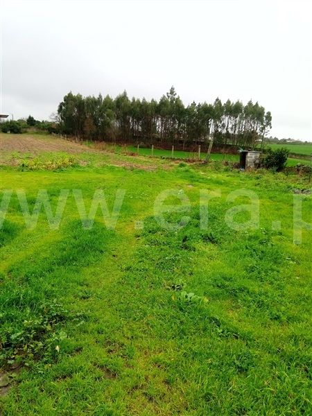 Moradia T5 / Vila do Conde, Junqueira