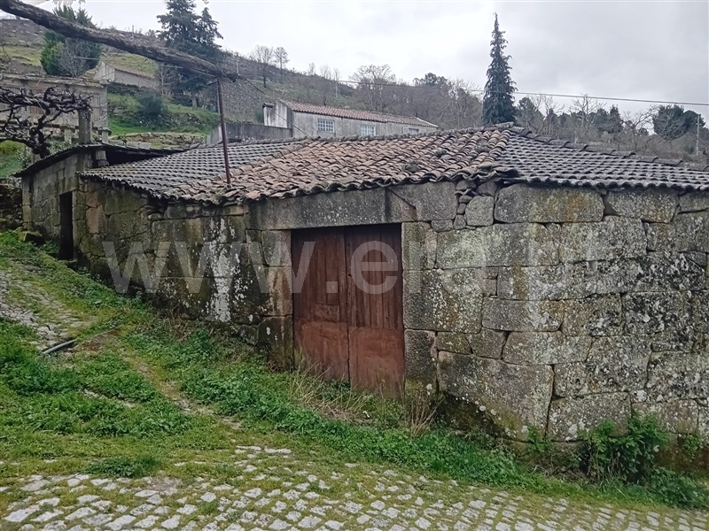 Moradia T5 / Vila Pouca de Aguiar, Telões
