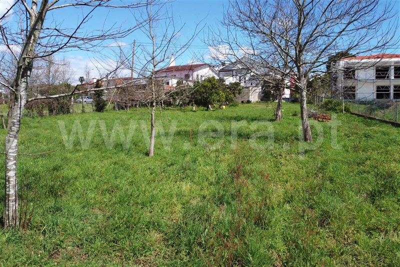 Moradia T5 Vila Verde, Oleiros - 1481882 - 6