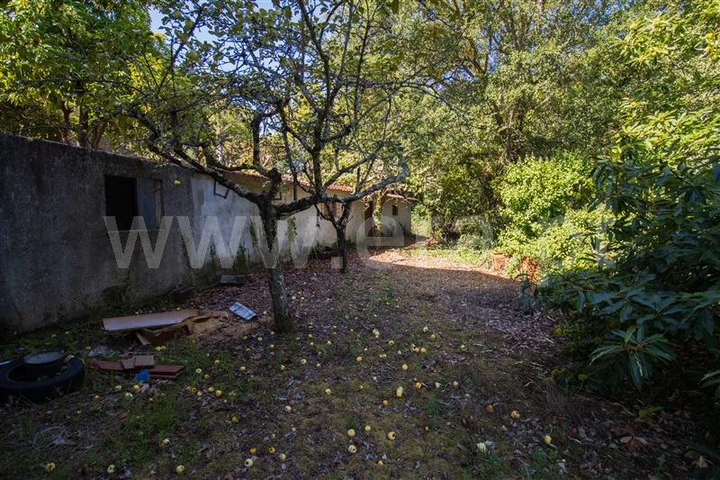 Moradia T5 à venda em Boa Aldeia, Farminhão e Torredeita, Viseu — foto 19