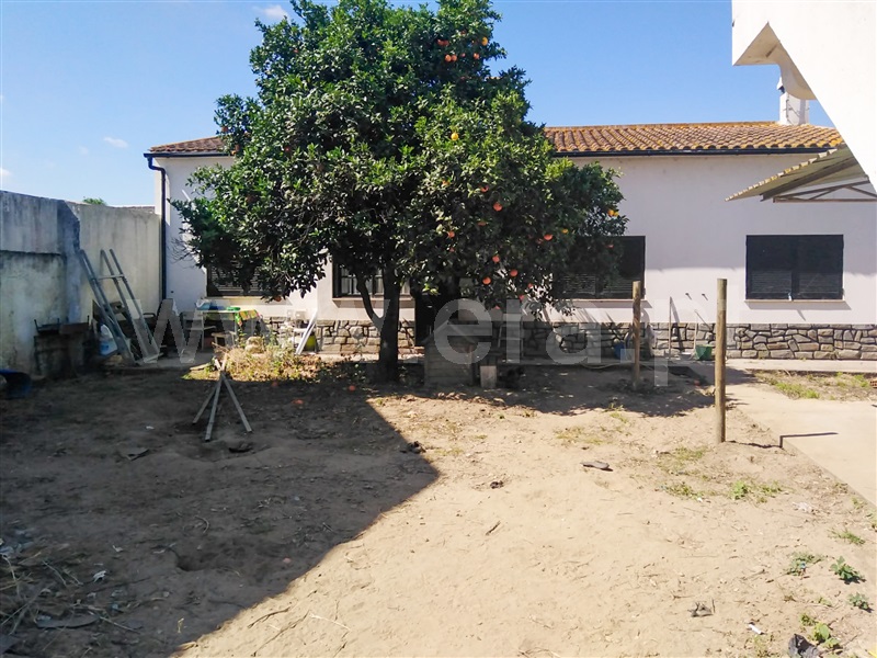Andar Moradia T6 Alpiarça, Alpiarça - 1480827 - 5