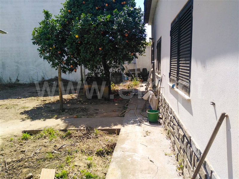 Andar Moradia T6 Alpiarça, Alpiarça - 1480827 - 20