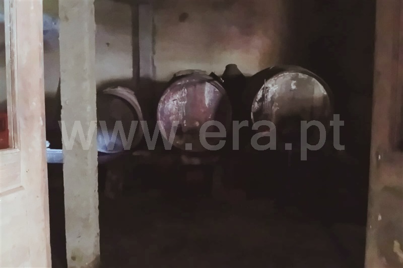 Moradia T6 Anadia, Vila Nova de Monsarros - 1386951 - 9