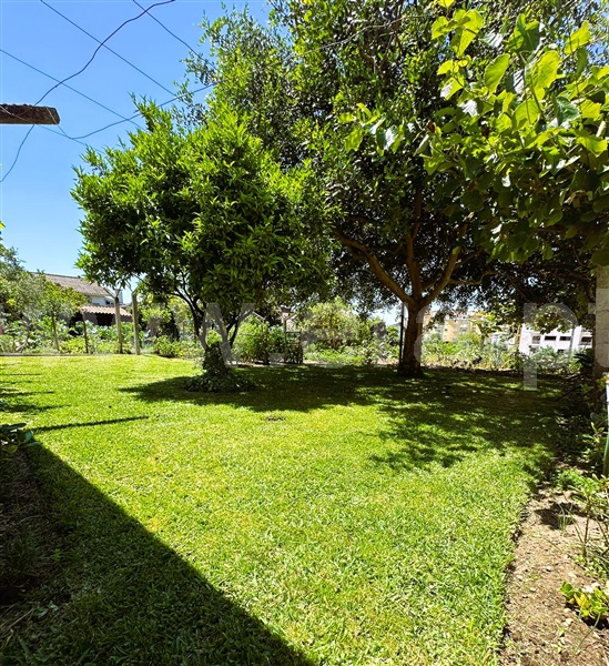 Moradia T6+ à venda em Nossa Senhora de Fátima, Entroncamento — foto 2