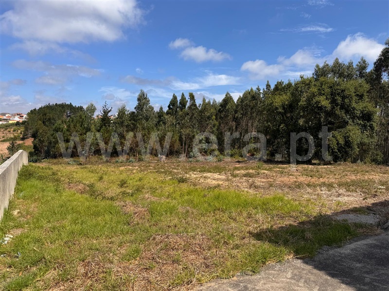 Moradia Isolada T6 Lourinhã, Ventosa - 1501409 - 20