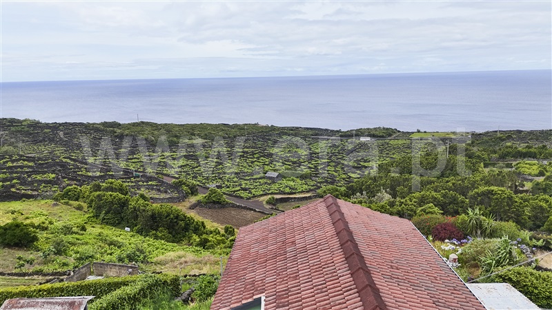 Moradia T6+ à venda em Candelária, Madalena — foto 6