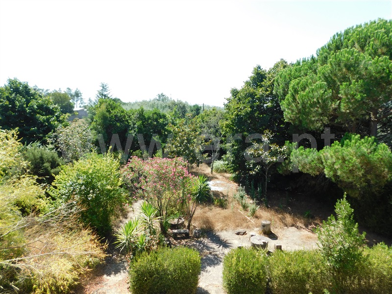 Moradia T6+ à venda em Mangualde, Mesquitela e Cunha Alta, Mangualde — foto 20